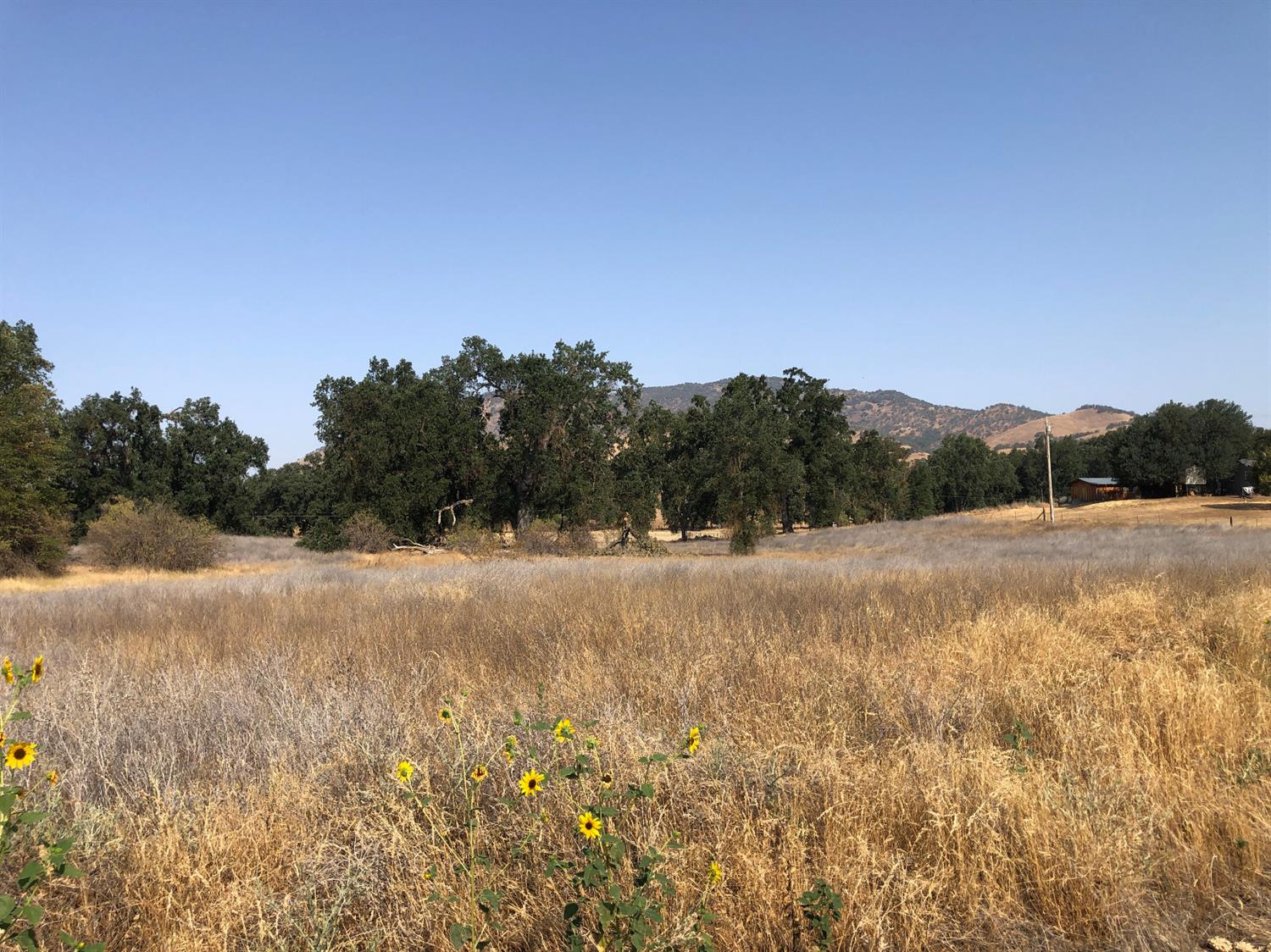 0 Indian Guide Road Squaw Valley, CA 93675 - Photo 1 of 16 Gallery Image 1