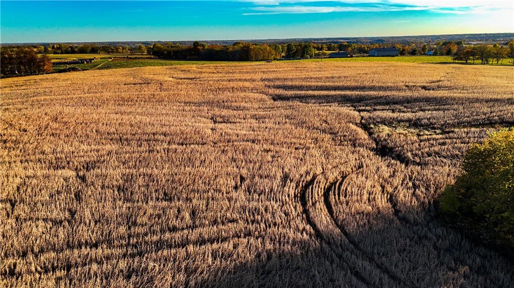 Quartz And Elm Street Gallatin, MO 64640 - Photo 11 of 23