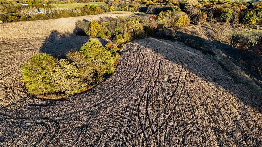 Quartz And Elm Street Gallatin, MO 64640 - Photo 15 of 23