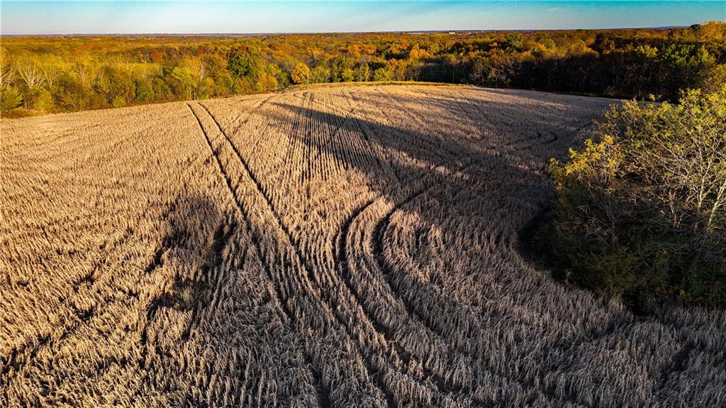 Quartz And Elm Street Gallatin, MO 64640 - Photo 20 of 23