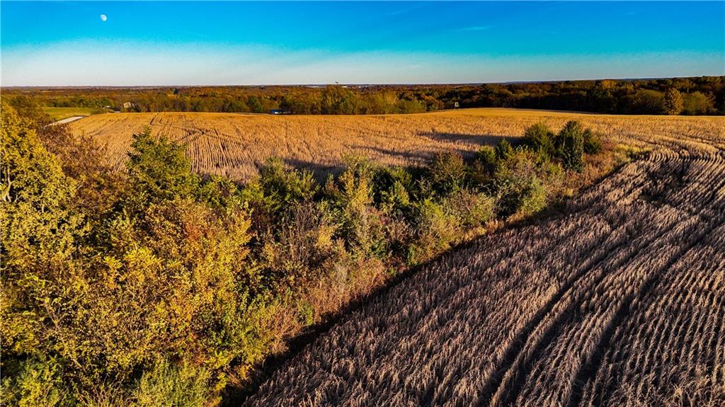 Quartz And Elm Street Gallatin, MO 64640 - Photo 23 of 23