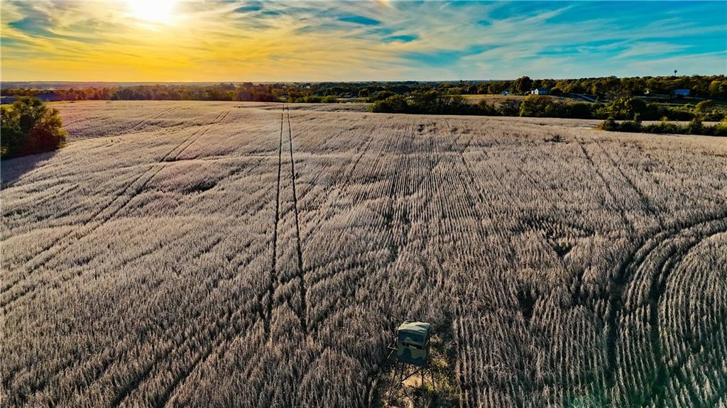 Quartz And Elm Street Gallatin, MO 64640 - Photo 6 of 23