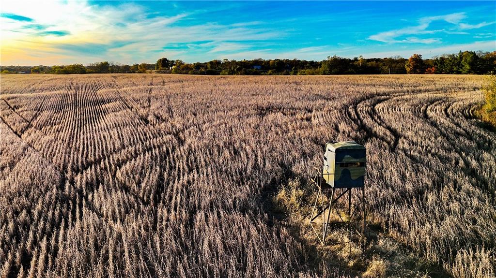 Quartz And Elm Street Gallatin, MO 64640 - Photo 9 of 23