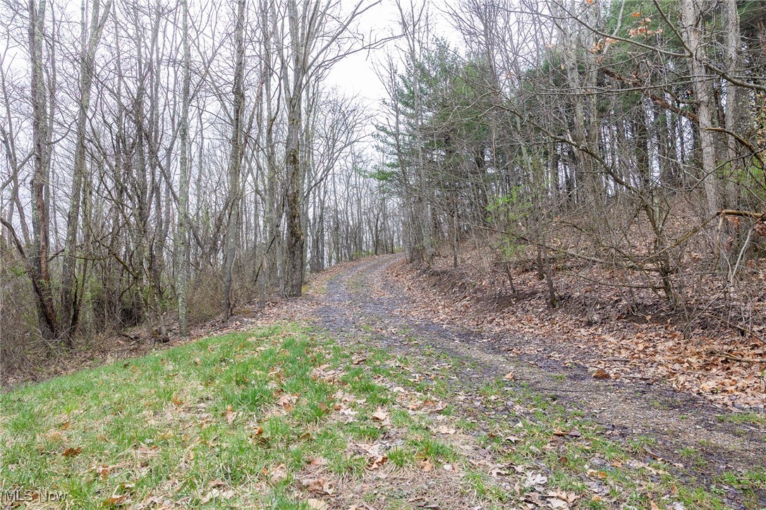 Oak Ridge Road Wellsville, OH 43968 - Photo 34 of 45 View of local wilderness with a wooded view