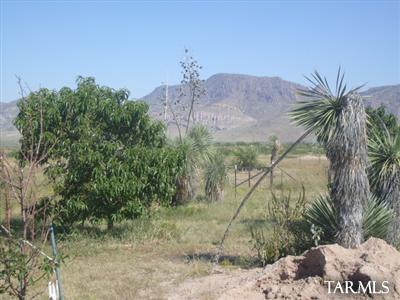 86 Silver Buckle Road Rodeo, AZ 88056 - Photo 1 of 7