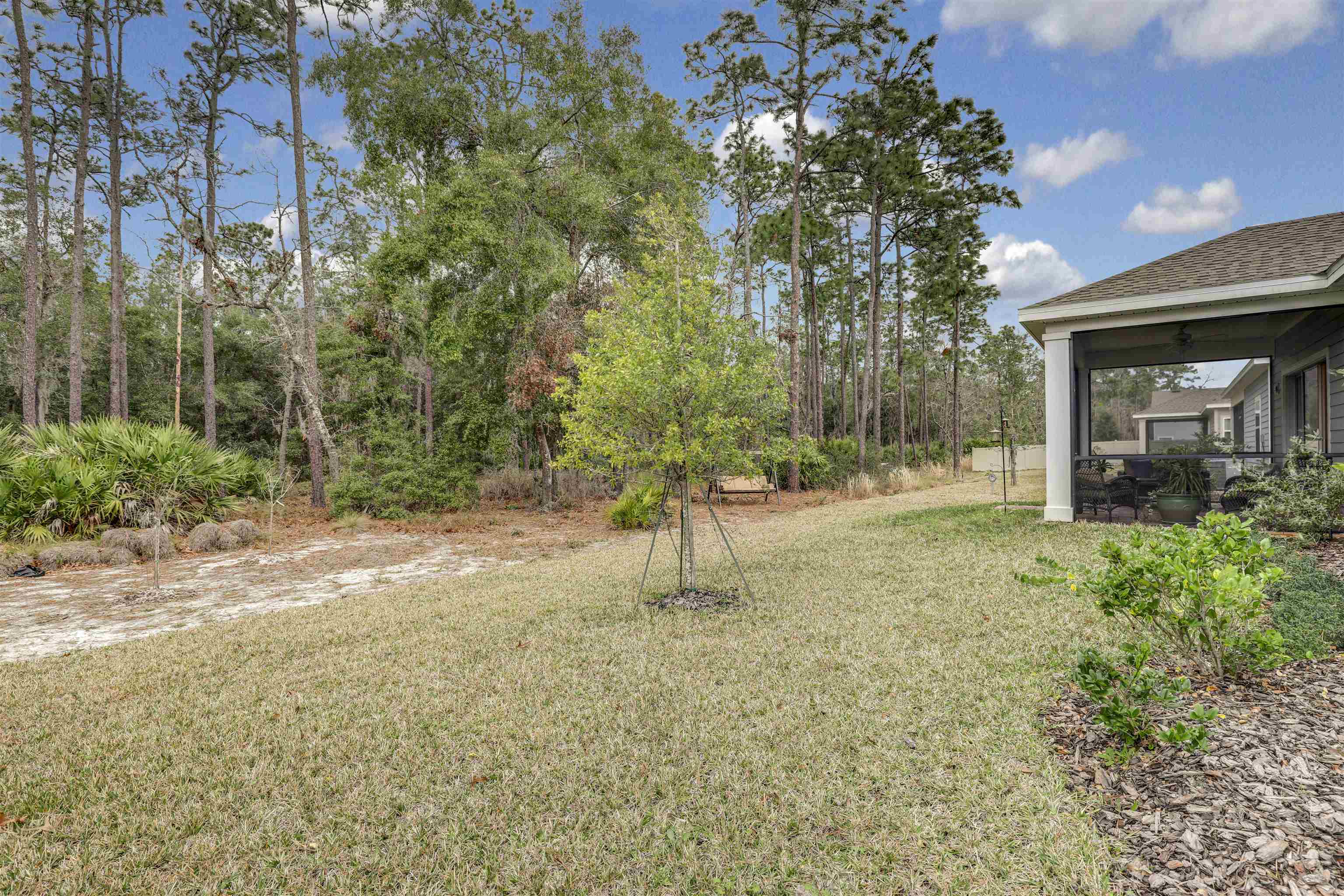 384 Gan Way St. Johns, FL 32259 - Photo 42 of 61 a view of a yard with plants and trees