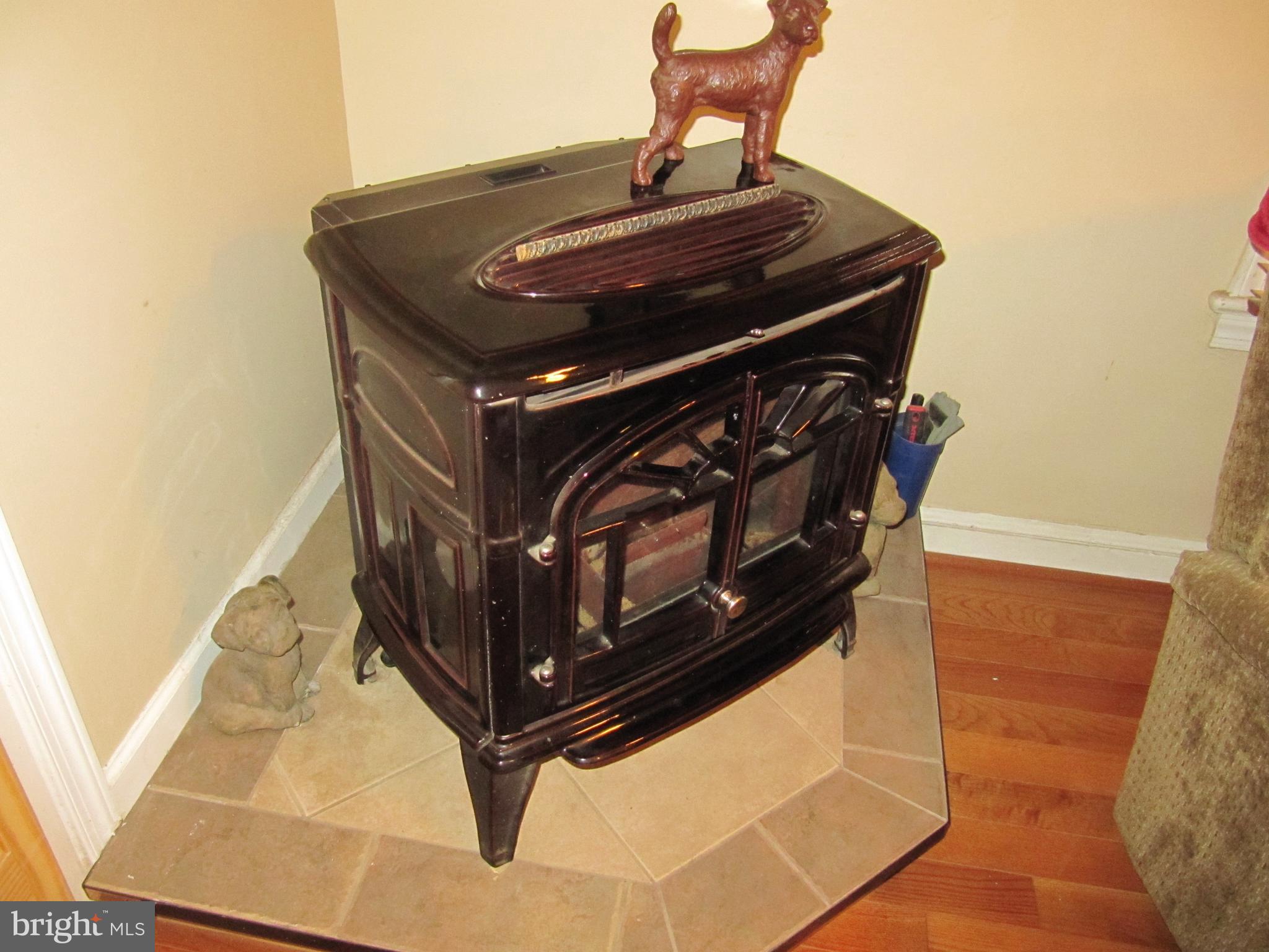 5511 Taylor Road Riverdale, MD 20737 - Photo 17 of 35 Pellet Stove (bonus)