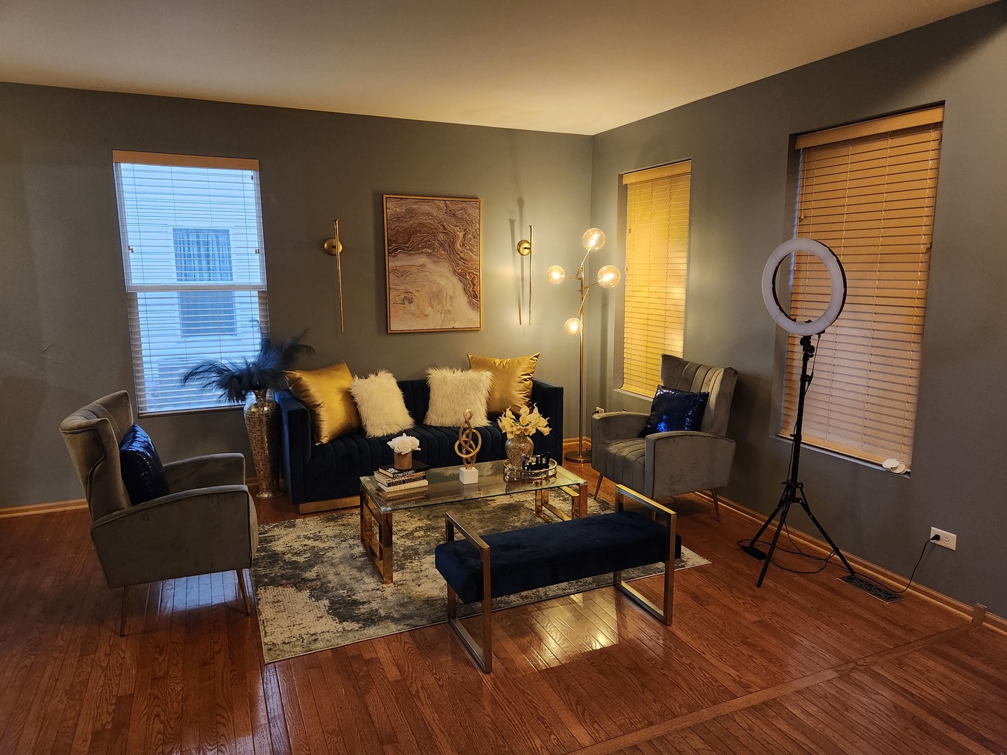6509 Roth Drive Joliet, IL 60431 - Photo 2 of 10 a living room with furniture and wooden floor