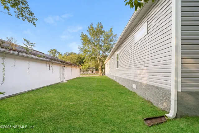 a view of a backyard with plants and large tree
