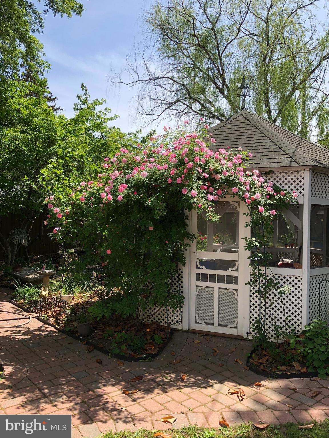 500 State Street Annapolis, MD 21403 - Photo 37 of 44 Beautiful Climbing Roses in the Garden