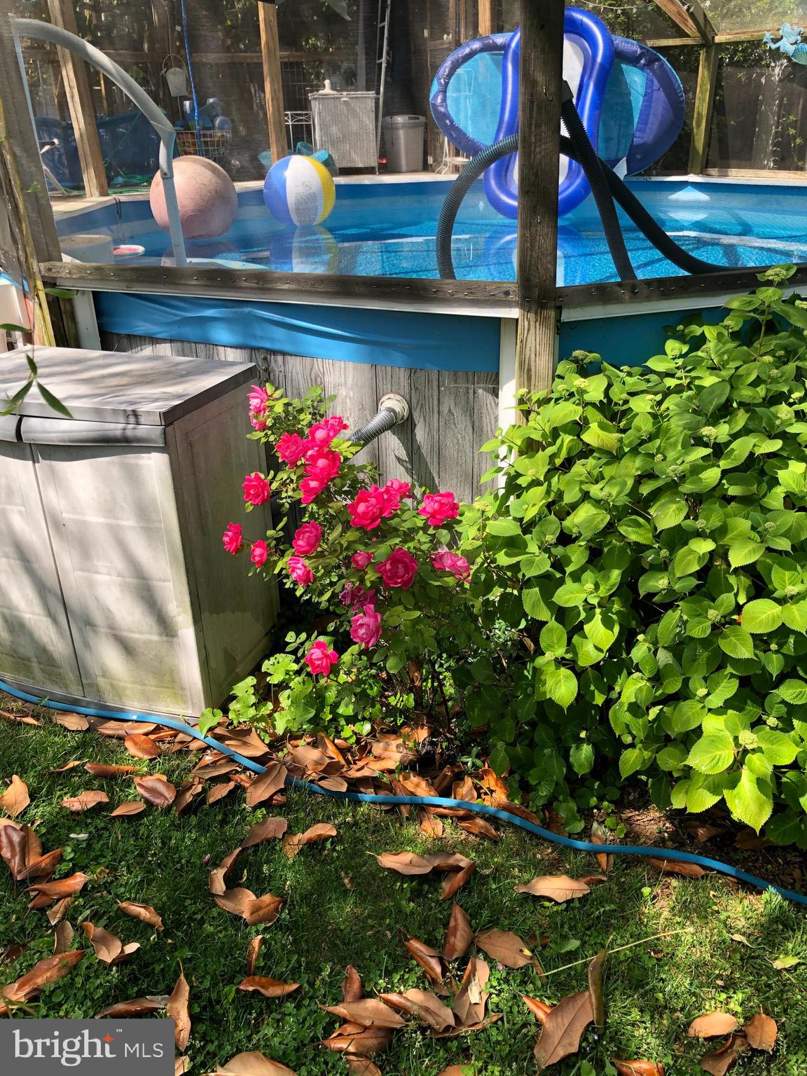 500 State Street Annapolis, MD 21403 - Photo 38 of 44 Completely enclosed Above-Ground Pool w/6X18 Deck