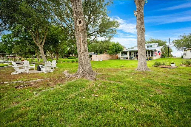 a view of a park with large trees