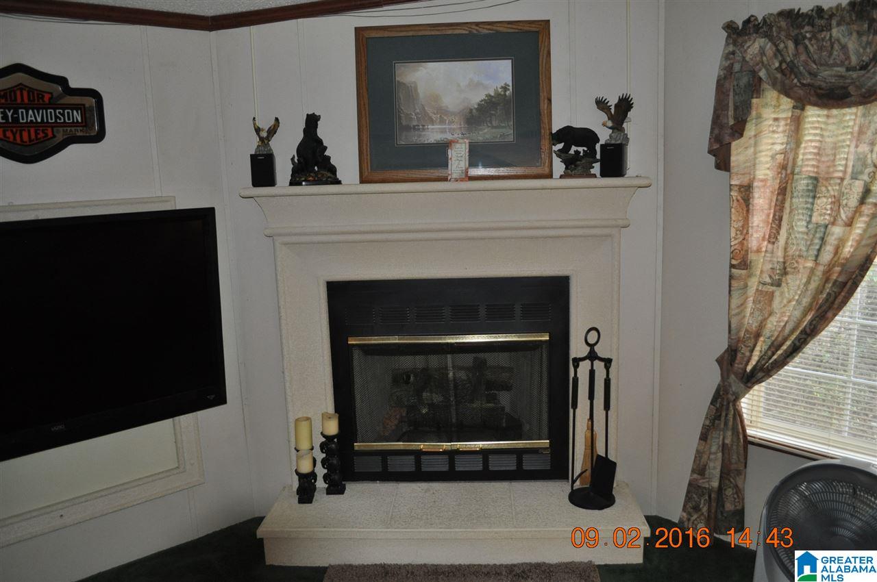 4514 Chelsea Road Columbiana, AL 35051 - Photo 3 of 19