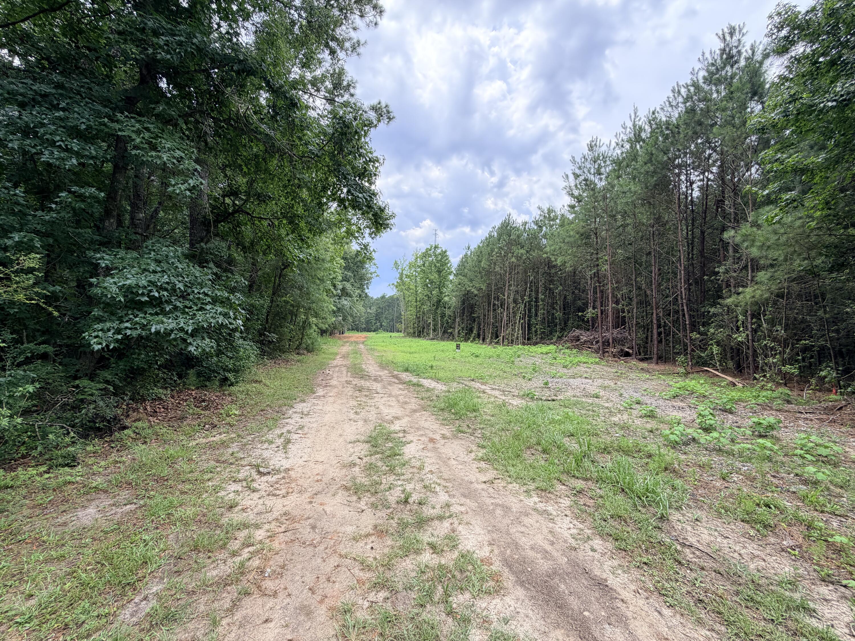 0 Victoria Road, Unit B Spartanburg, SC 29301 - Photo 19 of 25 0 Victoria Lane for Alicia Brown 1 of 2
