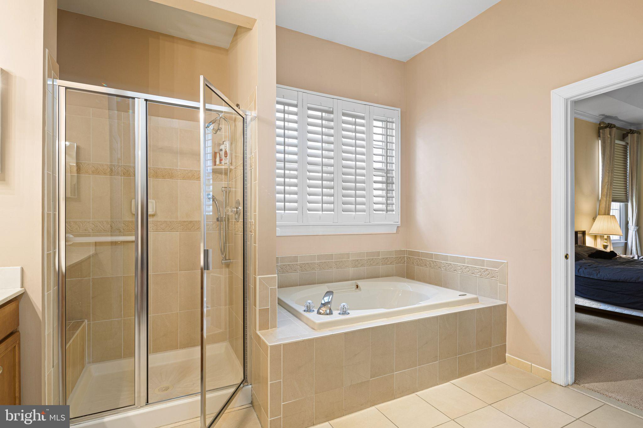 35 Cassin Hill Road Garnet Valley, PA 19060 - Photo 15 of 31 Primary shower/tub