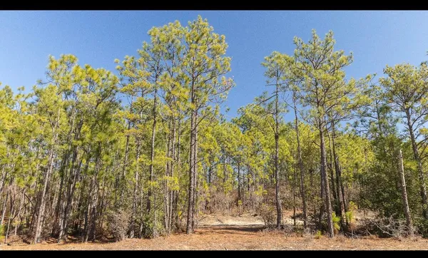 $55,000 | Lot A Kedron Church Road, Aiken, SC 29805