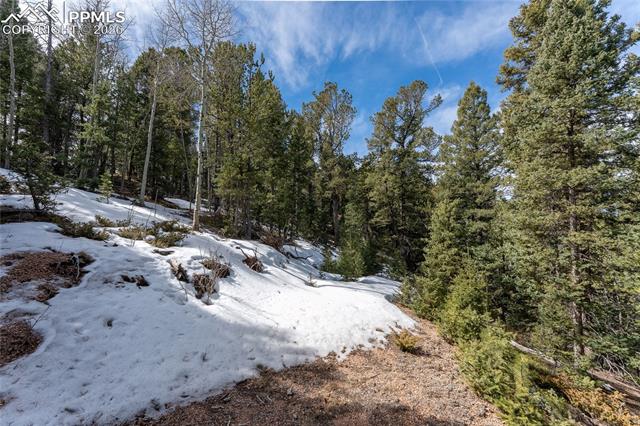 81 Haven Road Divide, CO 80814 - Photo 22 of 22 View of snow covered land