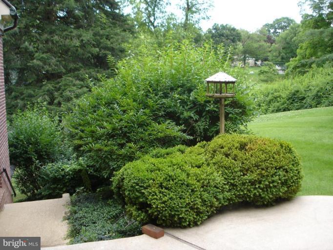 535 Valley View Road Towson, MD 21286 - Photo 21 of 24 View from patio