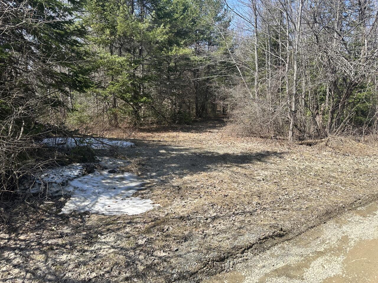 Lot 7 Ball Hill Road Etna, ME 04434 - Photo 3 of 10 IMG_1389 Large