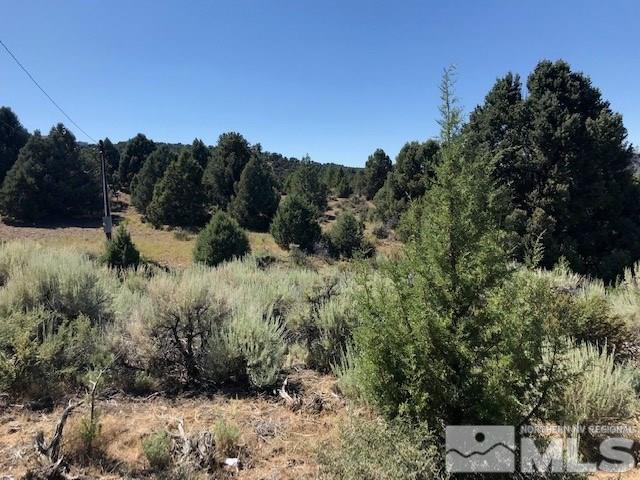 1894 Lousetown Road, Unit 27 Reno, NV 89521 - Photo 1 of 1 a view of outdoor space and yard