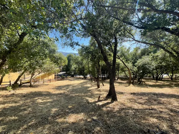 a view of outdoor space with trees