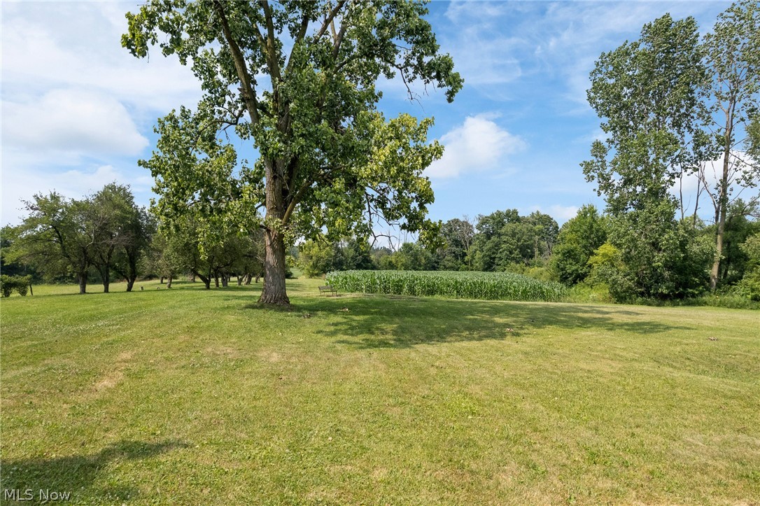 7999 Wadsworth Road Wadsworth, OH 44281 - Photo 6 of 40 Gallery Image 6