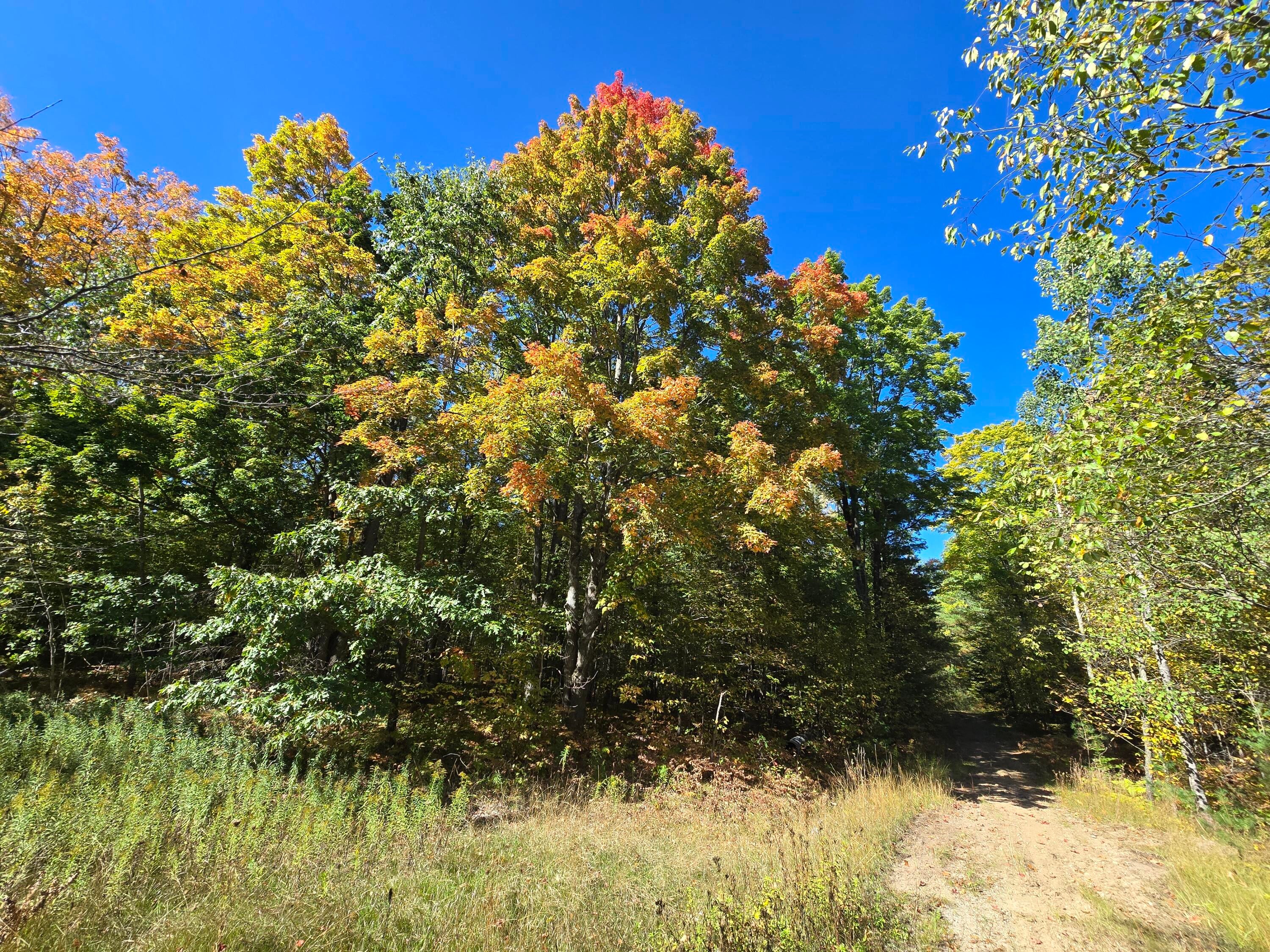 455 East Helmer Lake Road Fairview, MI 48621 - Photo 18 of 86 20250928_145956