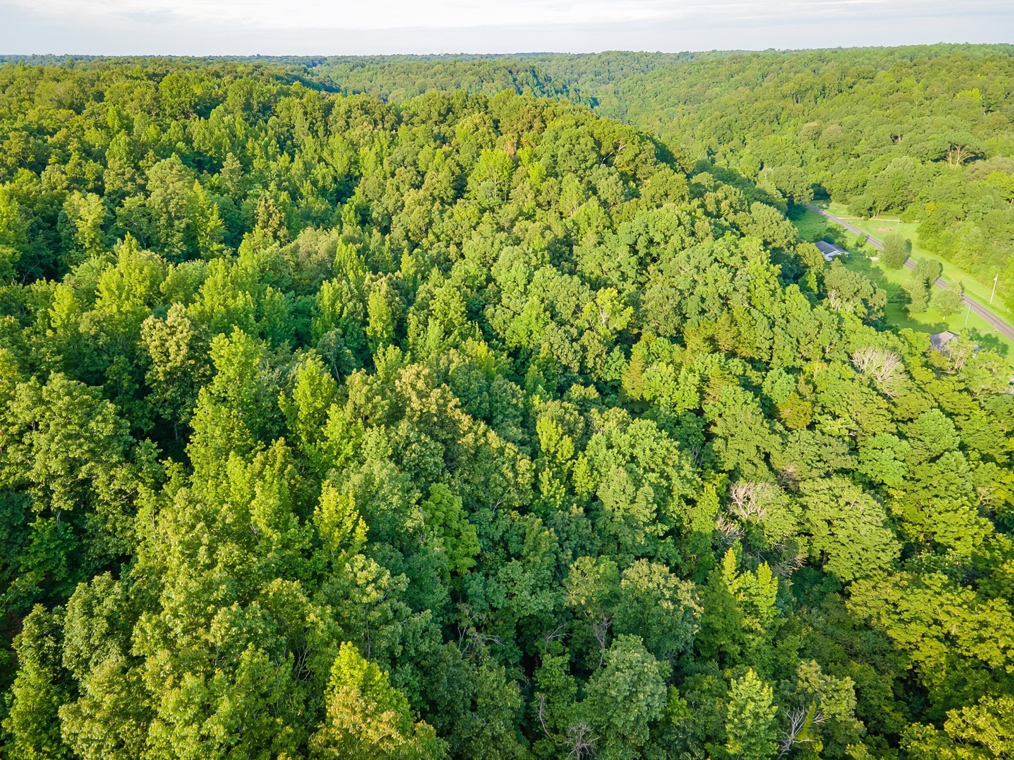 0 Dog Branch Road Goodspring, TN 38460 - Photo 37 of 46 Gallery Image 37