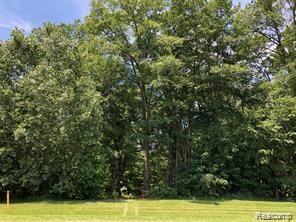 Lot 21 Deer Ridge Trail Howell, MI 48843 - Photo 11 of 17