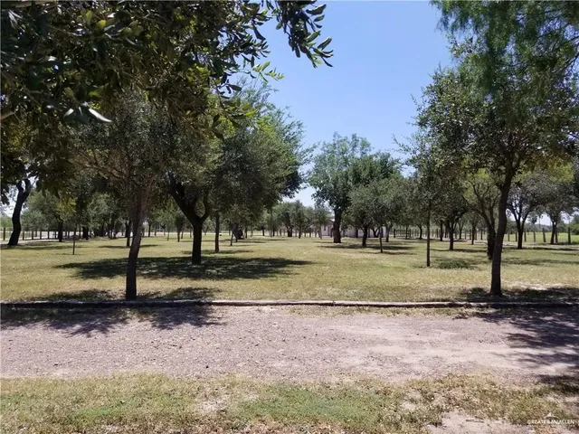 a view of park that has large trees