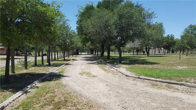 a view of park with trees