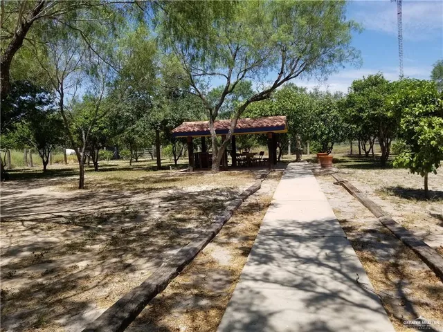 a wooden bench with a tree in front of it