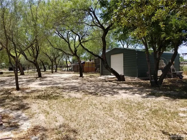 a view of a tree with a yard