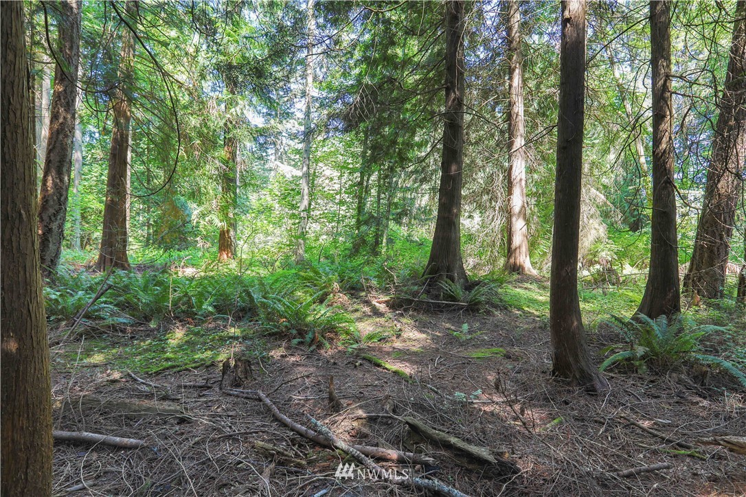 3505 Quade Road Clinton, WA 98236 - Photo 22 of 24 Gallery Image 22