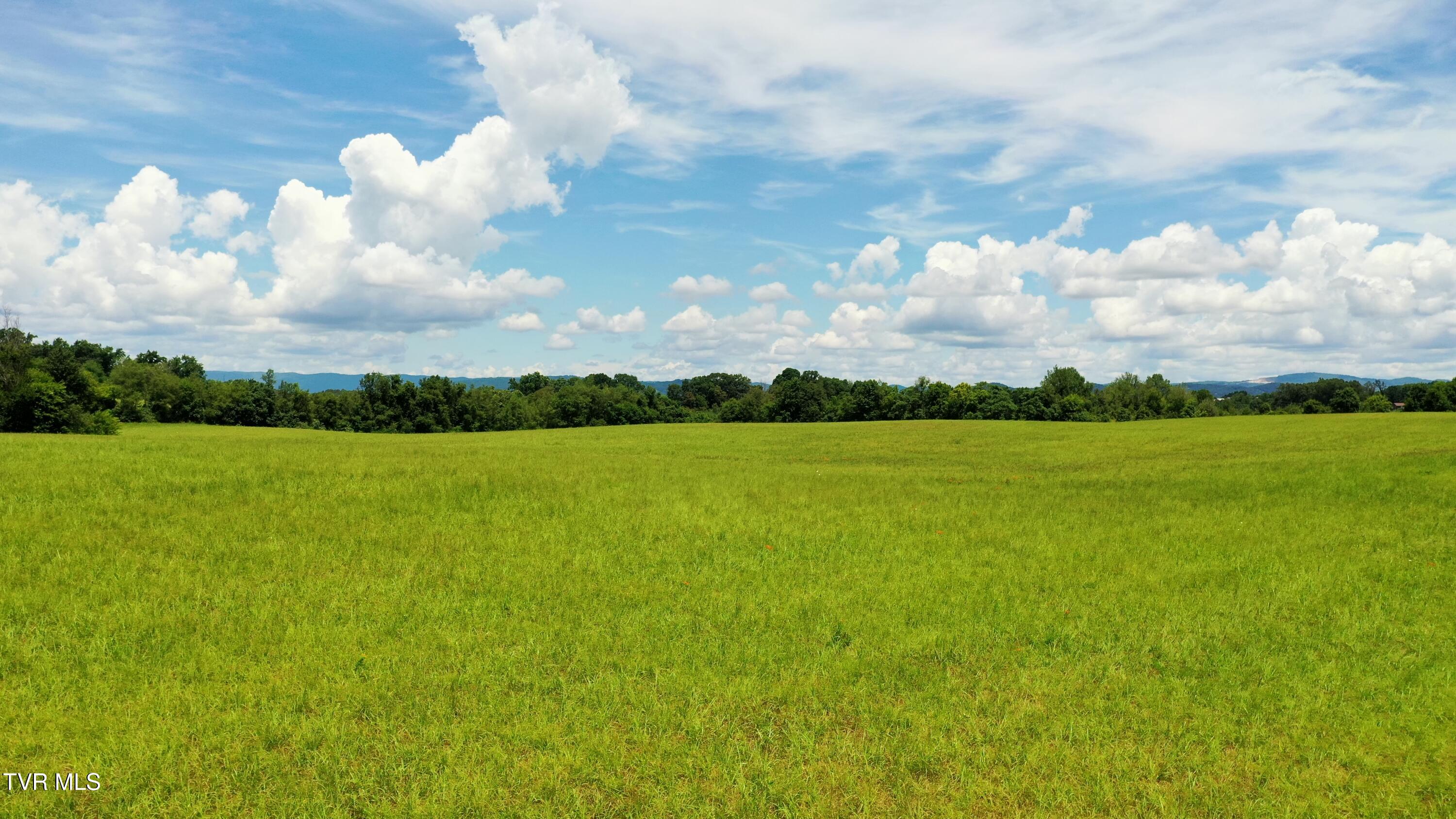 5085 Old Kentucky Road Morristown, TN 37814 - Photo 12 of 26 DJI_0687