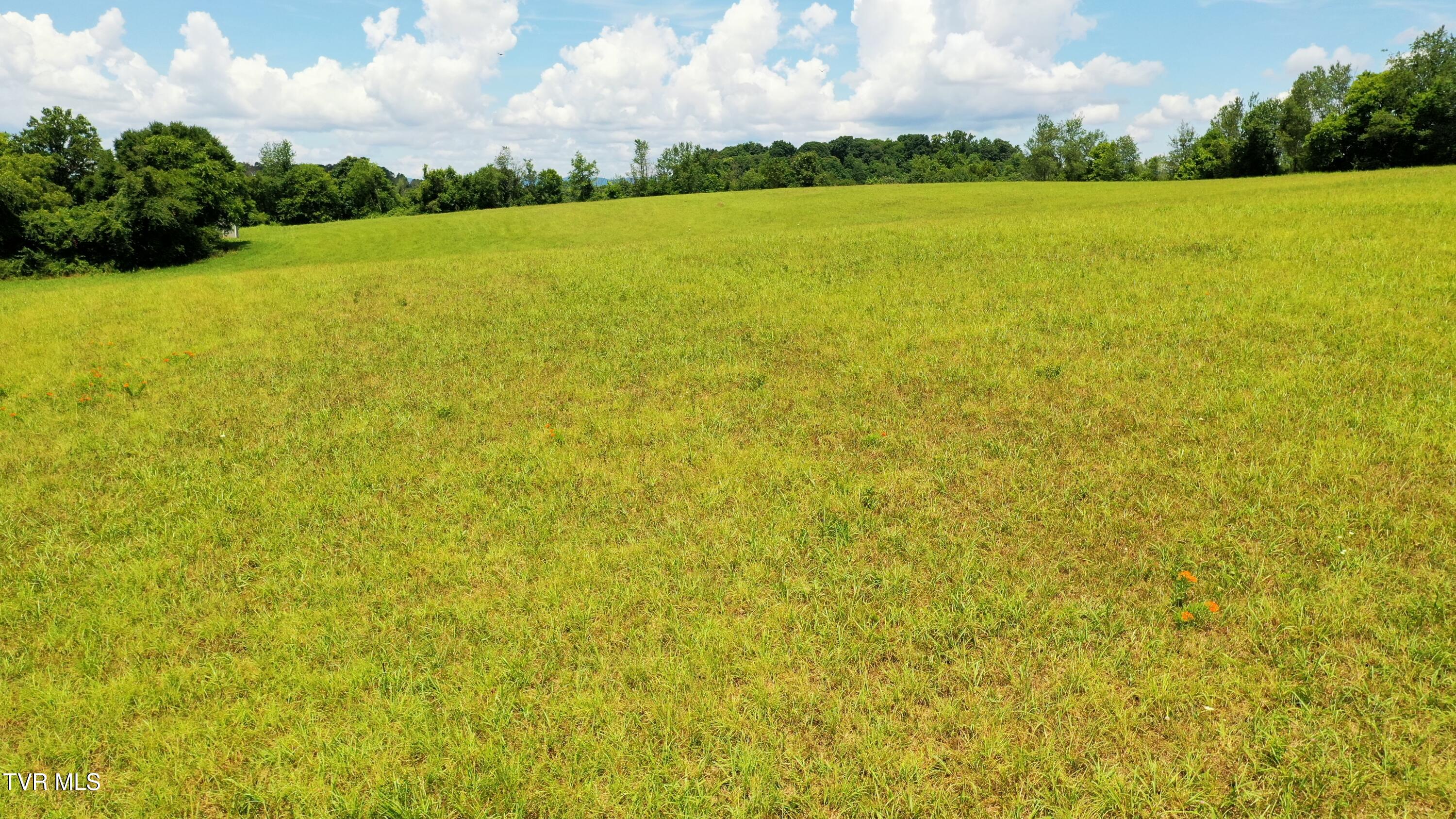 5085 Old Kentucky Road Morristown, TN 37814 - Photo 14 of 26 DJI_0689