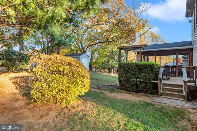 a view of a yard with large trees
