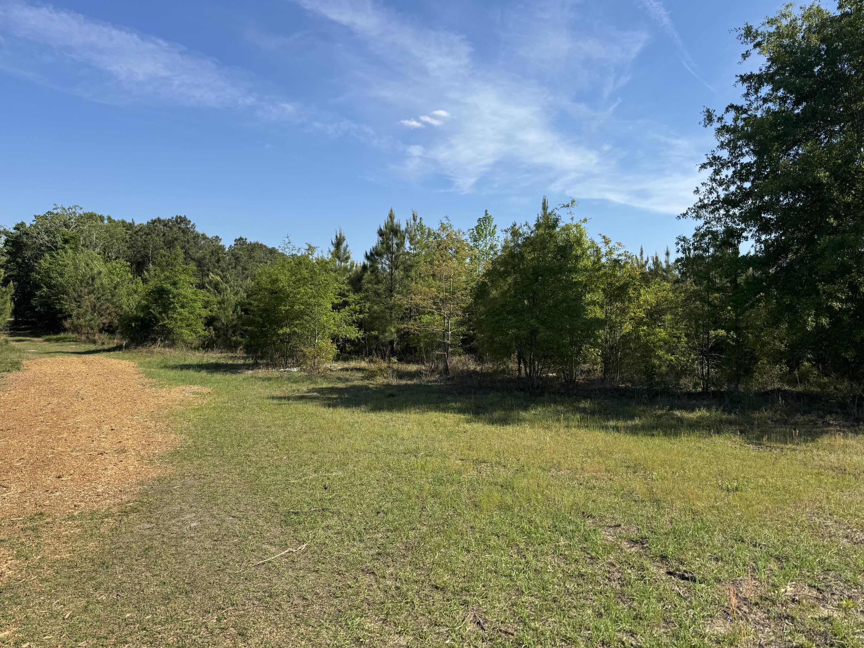 0 Huggins Road Rembert, SC 29128 - Photo 13 of 13 Gallery Image 13