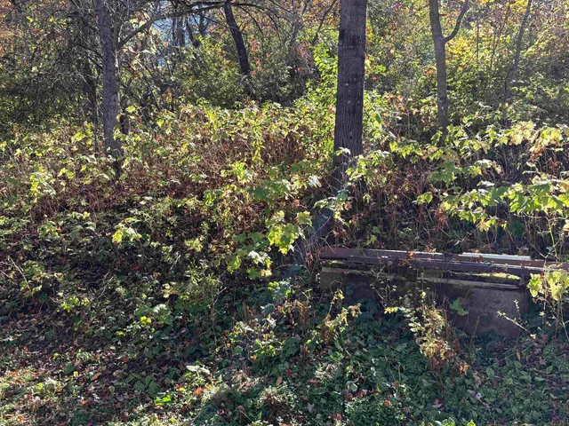 $65,000 | 111 Acton Place, Royalton, VT 05068