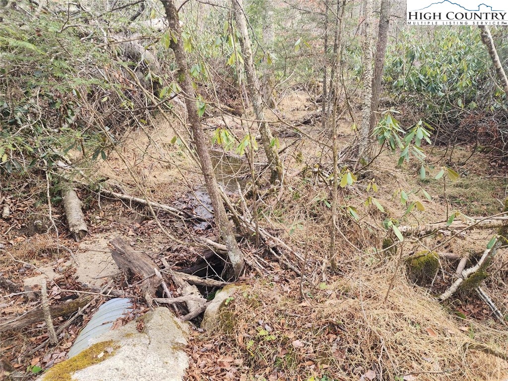 a view of a yard with a tree