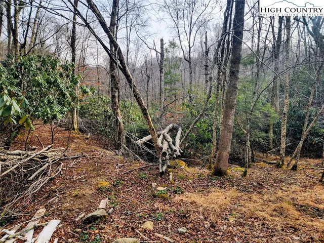 a view of outdoor space