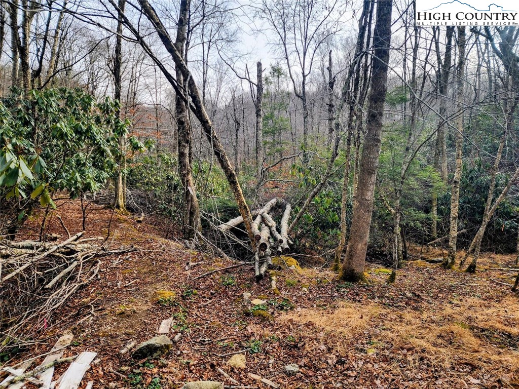 111 Willow Run Road Beech Mountain, NC 28604 - Photo 2 of 2 a view of outdoor space
