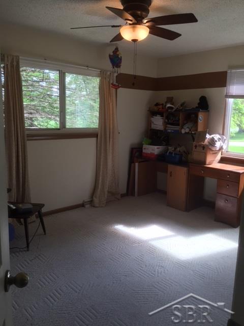 11114 Lange Road Birch Run, MI 48415 - Photo 9 of 21