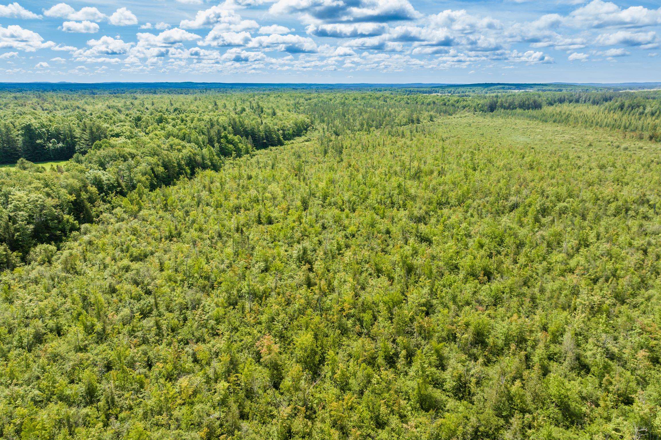 0 North Sharon Road Kalkaska, MI 49646 - Photo 14 of 18