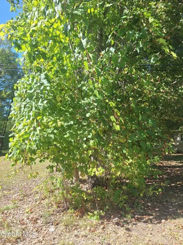 $34,900 | L1 Northern Boulevard, Castleton-on-Hudson, NY 12033