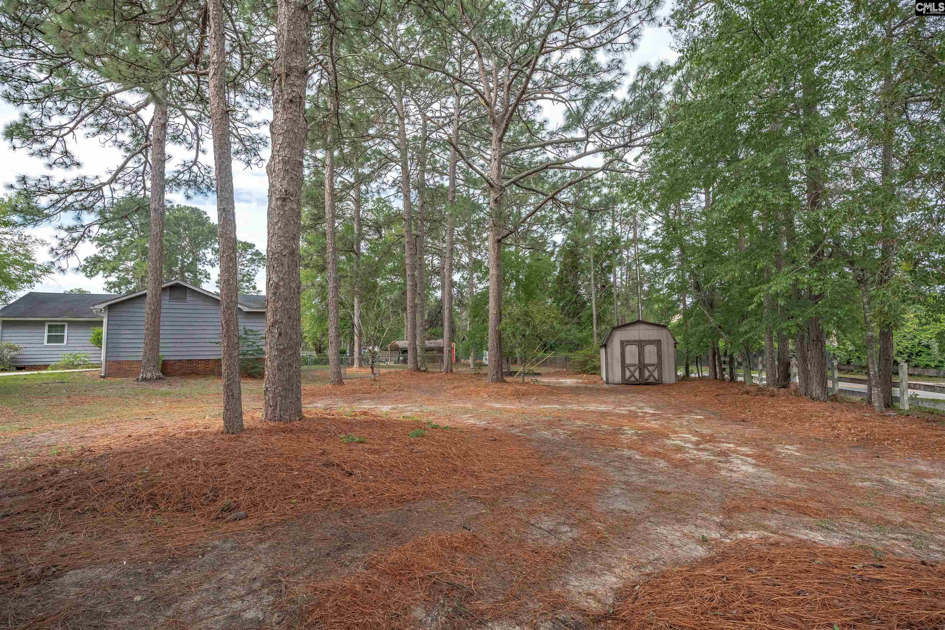 200 Pond Ridge Road East Columbia, SC 29223 - Photo 31 of 32
