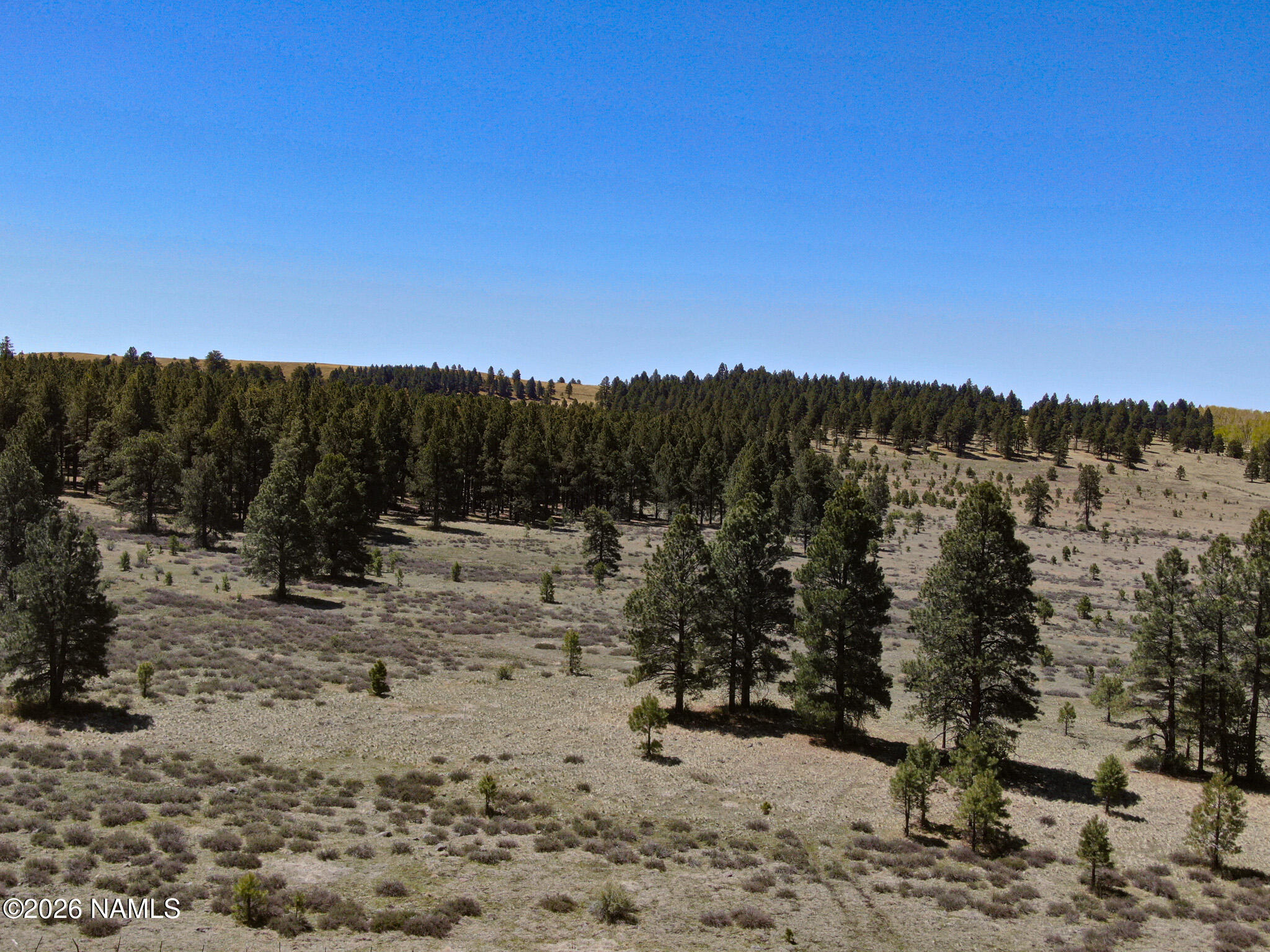 1 Hart Prairie Road Flagstaff, AZ 86001 - Photo 11 of 25 a view of a dry yard with trees in the background