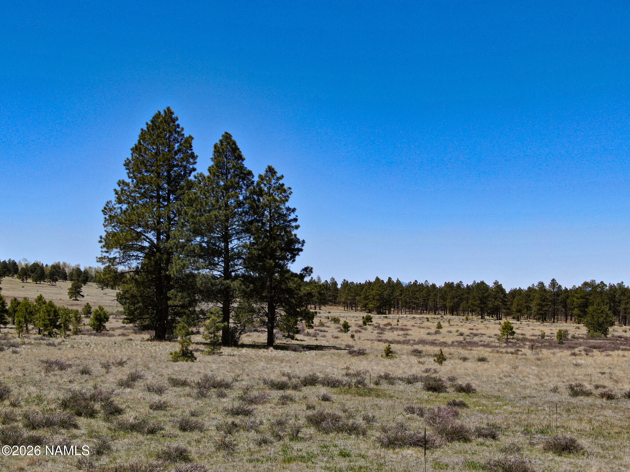 1 Hart Prairie Road Flagstaff, AZ 86001 - Photo 3 of 25 a view of a dry space with mountain view