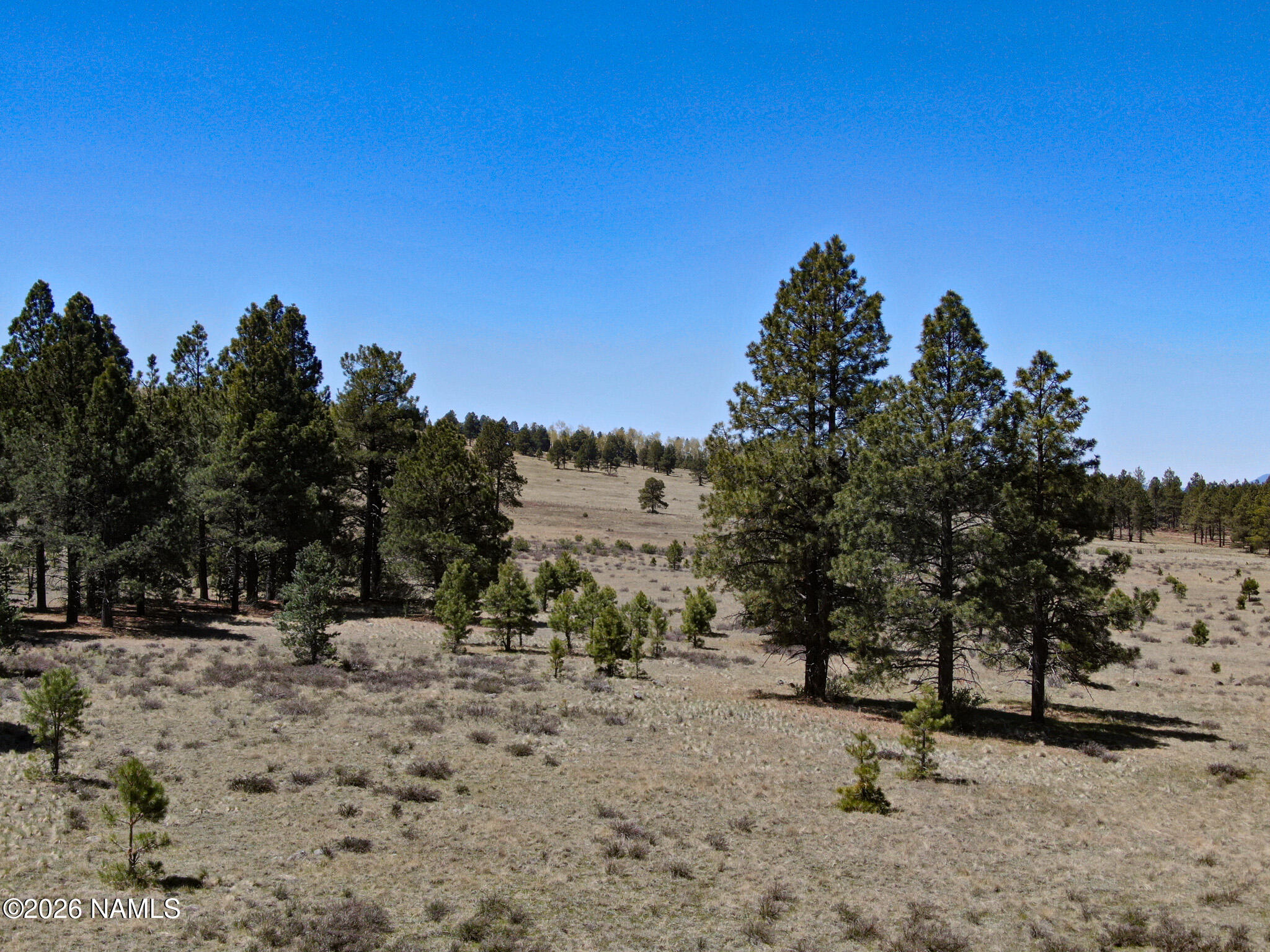 1 Hart Prairie Road Flagstaff, AZ 86001 - Photo 5 of 25 a view of outdoor space with trees