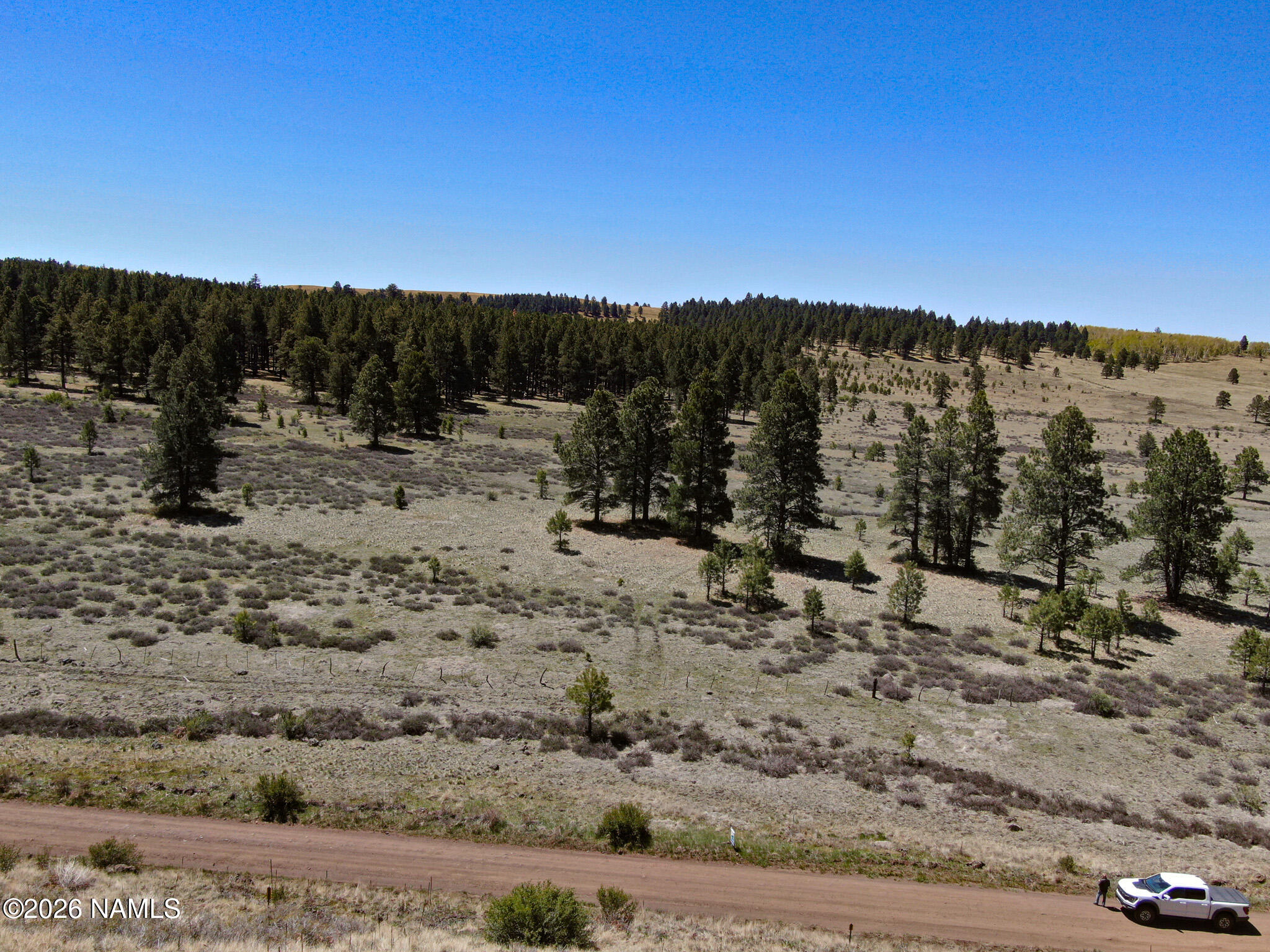 1 Hart Prairie Road Flagstaff, AZ 86001 - Photo 6 of 25 a view of a dry yard with lots of trees